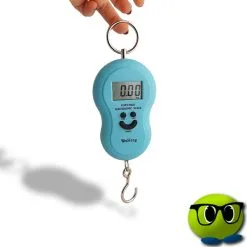 Balance électronique Pour Peser Les Bagages - Mrbulle