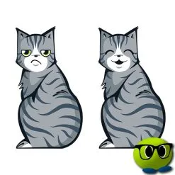 Stickers En Forme De Chat Pour Pare-brise - Mrbulle -Magasin De Décoration 6606 photo
