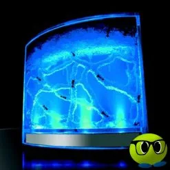 Labyrinthe Décoratif Pour Fourmis - Mrbulle