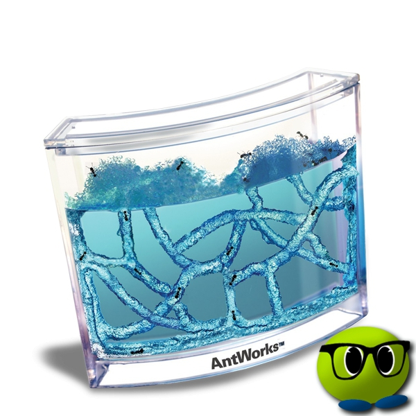 Labyrinthe Décoratif Pour Fourmis - Mrbulle 4 Labyrinthe Décoratif Pour Fourmis - Mrbulle – Image 2