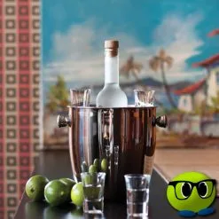 Seau Pour Rafraichir Bouteille Avec 6 Verres - Mrbulle -Magasin De Décoration 6653 photo