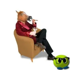 Magasin De Décoration 28 Masque Cheval Géant - Mrbulle