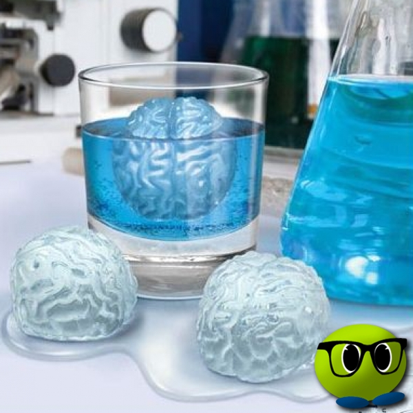 Structure De Glace En Forme De Cerveau Humain - Mrbulle 5 Structure De Glace En Forme De Cerveau Humain - Mrbulle – Image 3